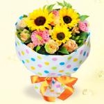 e38389e38383e38388e88ab1e69d9f