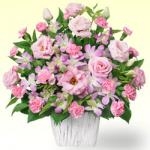 e38394e383b3e382afe38388e383abe382b31