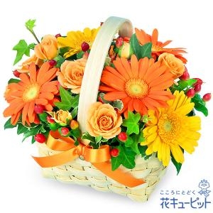 １０月のおすすめ商品！|「花のいのうえ」　（北海道稚内市の花屋）のブログ