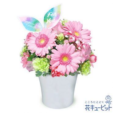 ３月のオススメ商品｜「花のいのうえ」　（北海道稚内市の花キューピット加盟店 花屋）のブログ