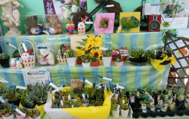 「花のいのうえ」　（北海道稚内市）の花屋店舗写真3