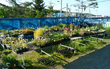 「花のいのうえ」　（北海道稚内市）の花屋店舗写真4